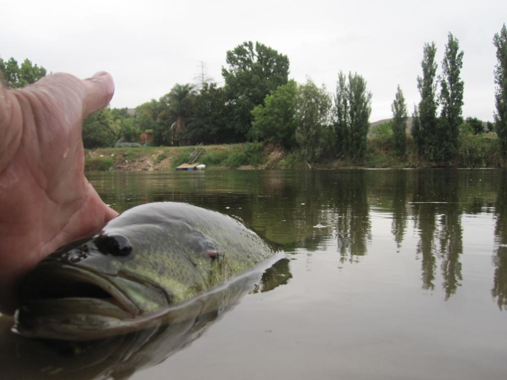 Bonnievale River Lodge Zewnętrze zdjęcie