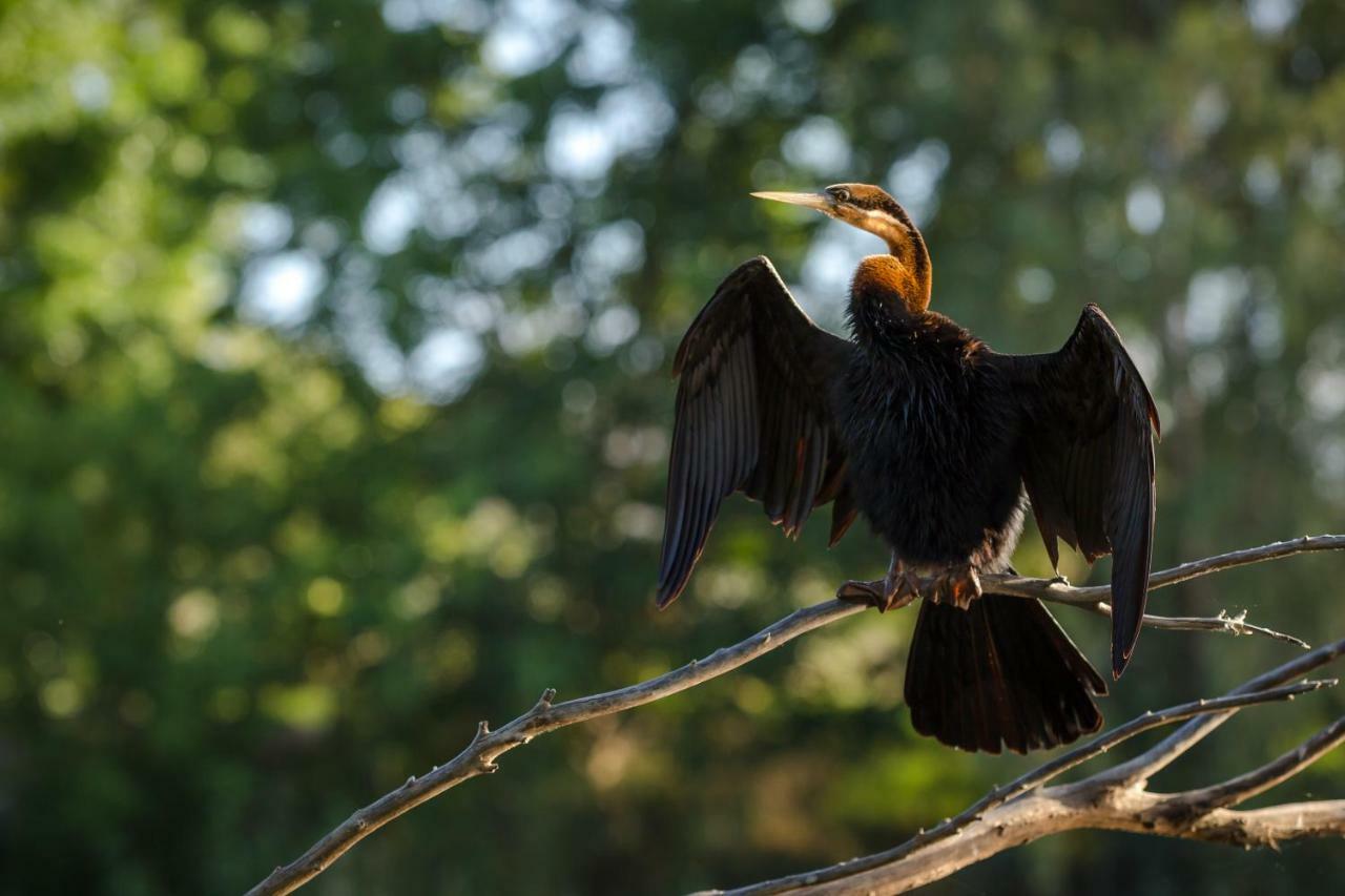 Bonnievale River Lodge Zewnętrze zdjęcie